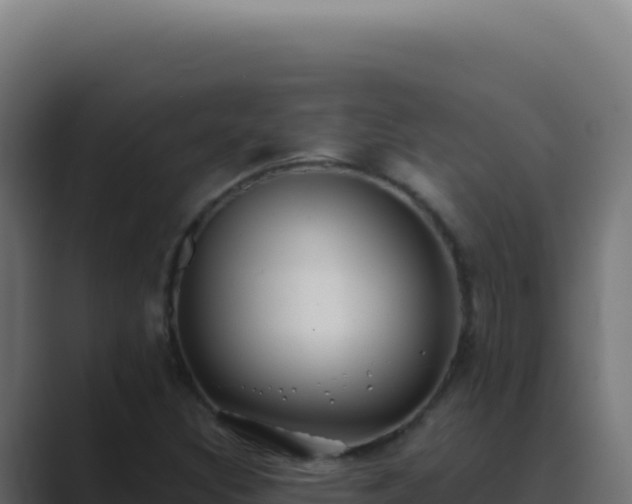 X0000089761308200706281636