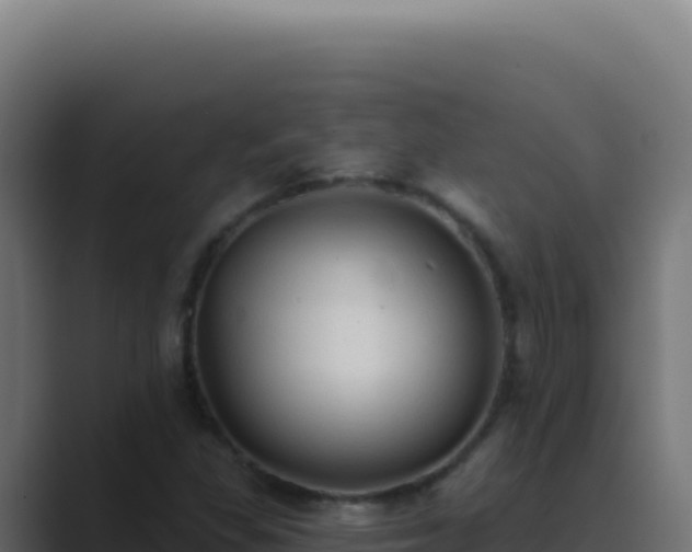 X0000089761309200706281636