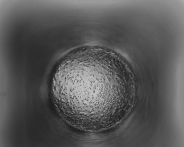 X0000089761311200706281636