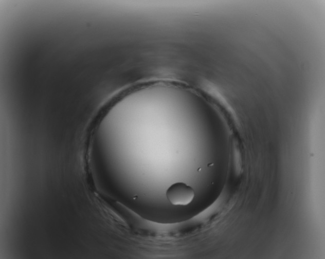 X0000089761312200706281636