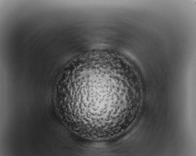 X0000089761313200706281636