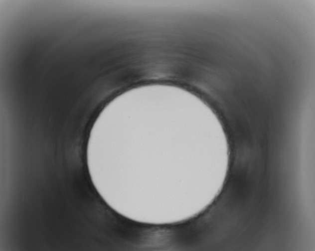 X0000089761314200706281636