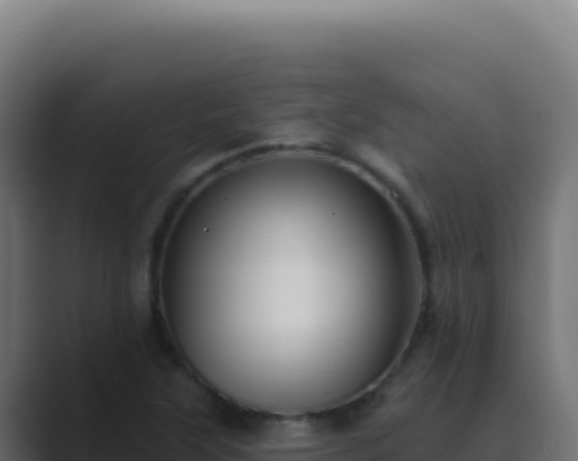 X0000089761315200706281636