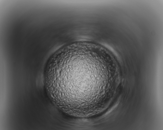 X0000089761317200706281636