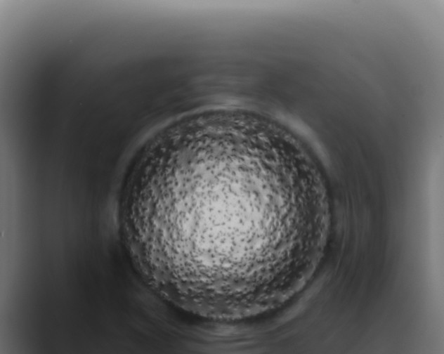 X0000089761318200706281636