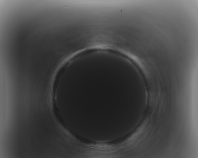 X0000089761319200706281636