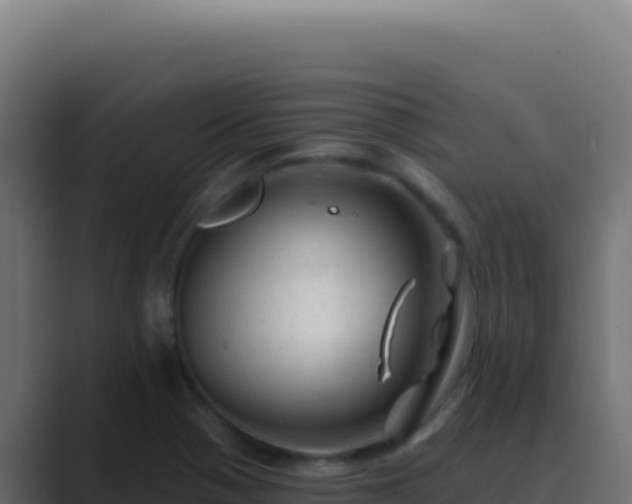 X0000089761321200706281636