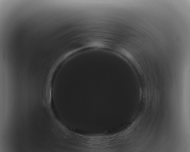 X0000089761323200706281636
