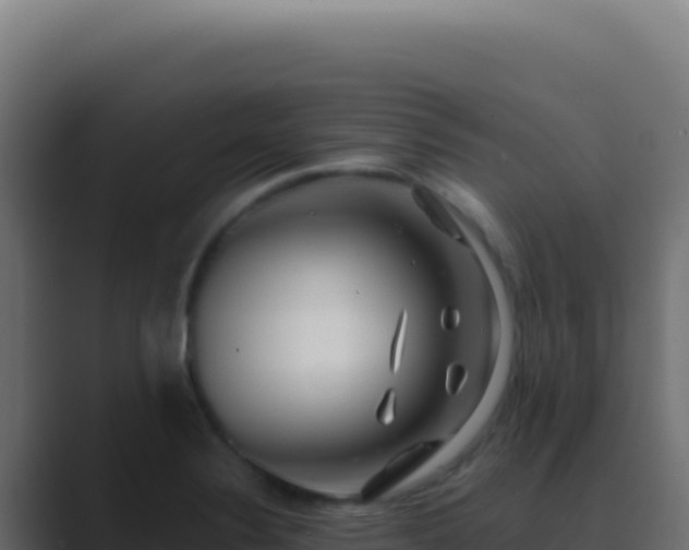 X0000089761324200706281636