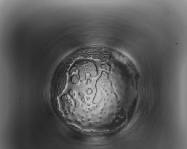 X0000089761325200706281636