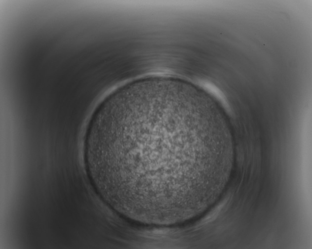 X0000089761326200706281636