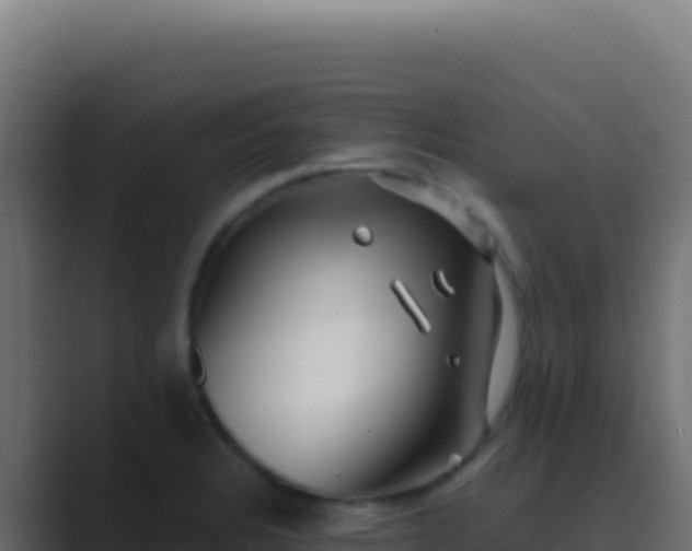 X0000089761328200706281636