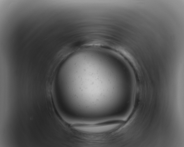 X0000089761329200706281636