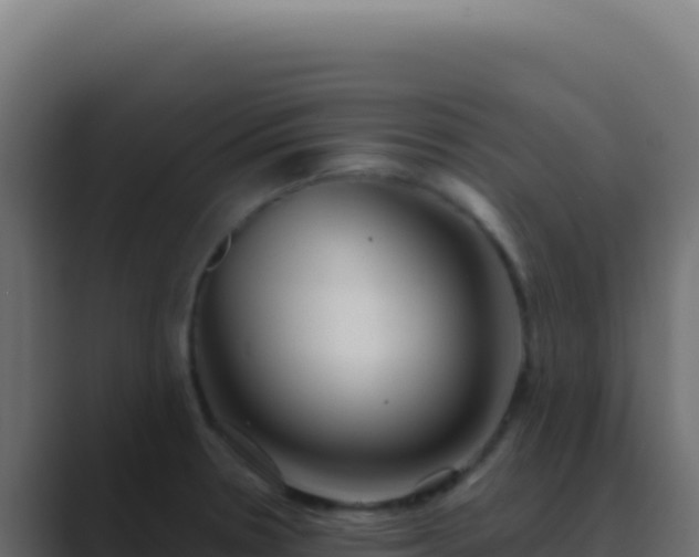 X0000089761330200706281636