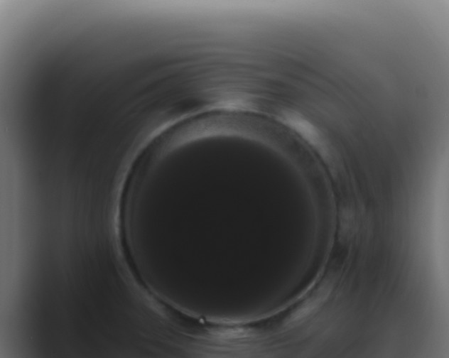 X0000089761331200706281636