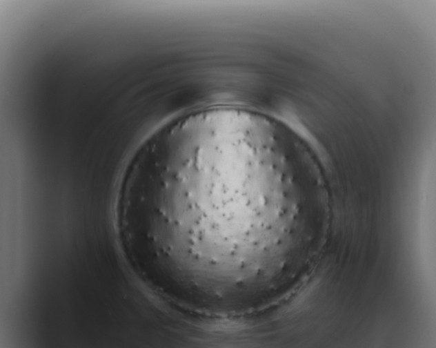 X0000089761333200706281636