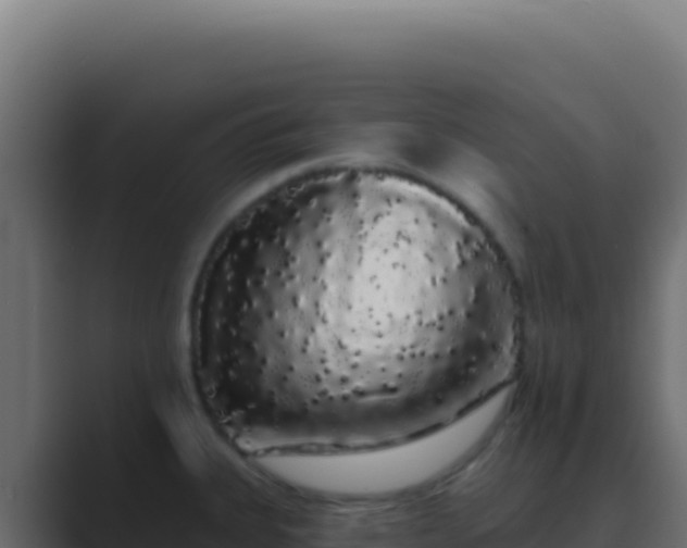 X0000089761335200706281636