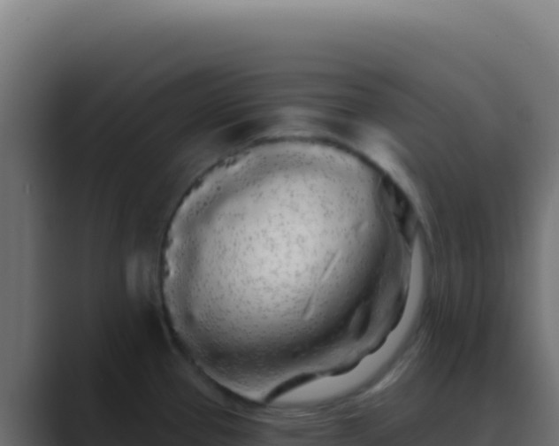 X0000089761337200706281636