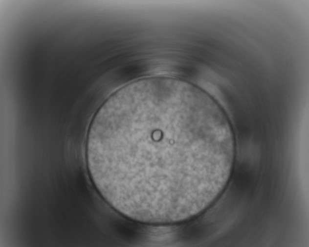 X0000089761338200706281636