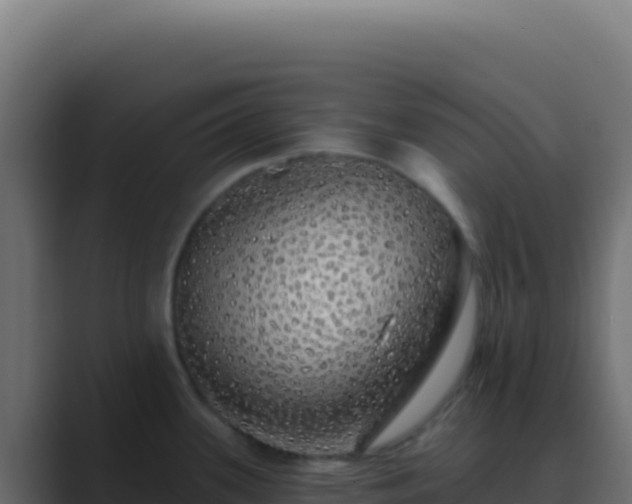 X0000089761339200706281636