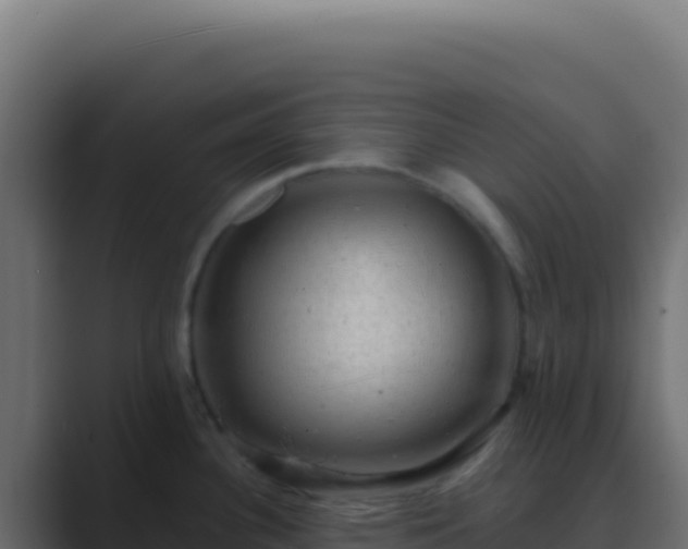 X0000089761340200706281636