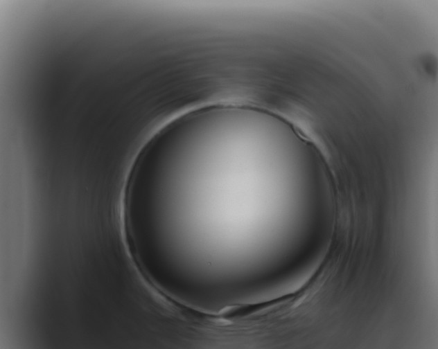 X0000089761343200706281636