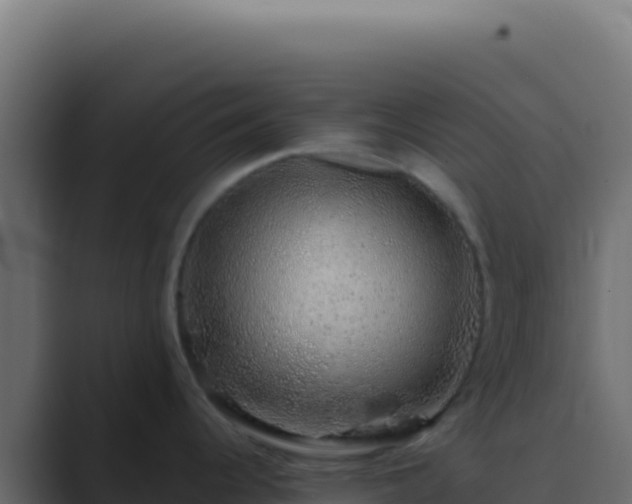 X0000089761344200706281636