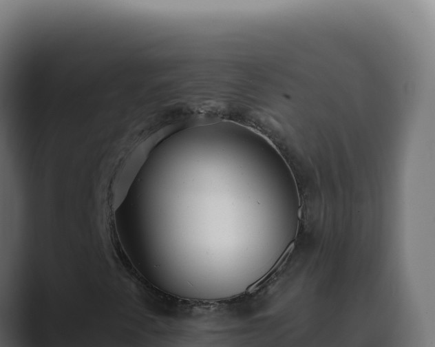 X0000089761345200706281636