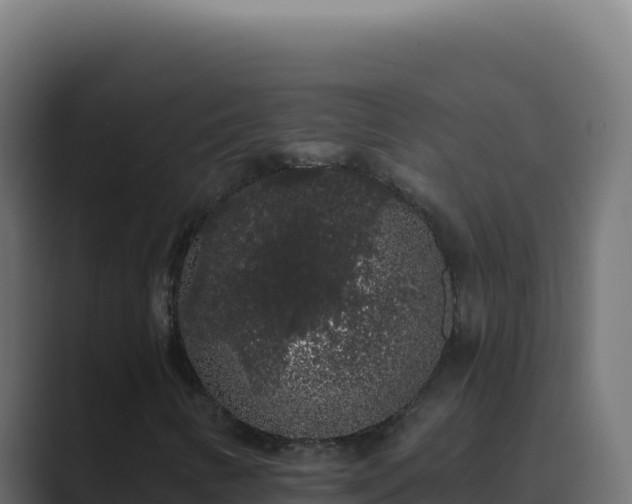 X0000089761346200706281636