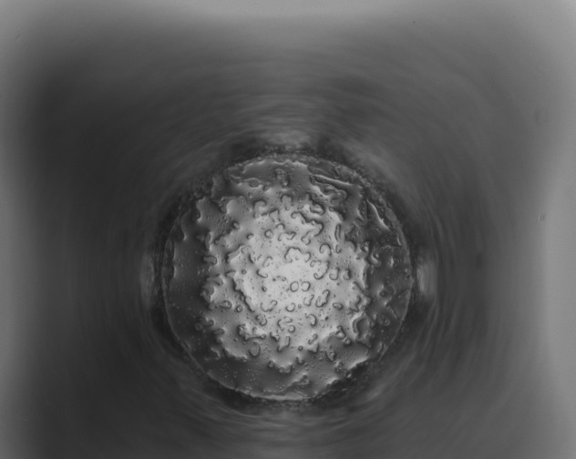 X0000089761347200706281636