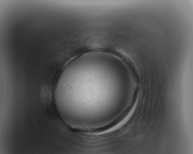 X0000089761348200706281636