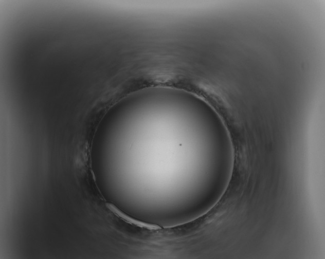X0000089761349200706281636