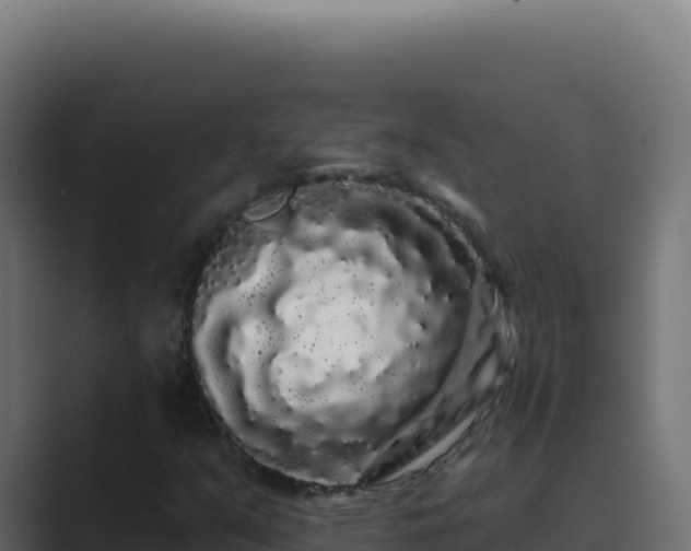 X0000089761351200706281636