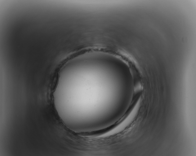 X0000089761352200706281636