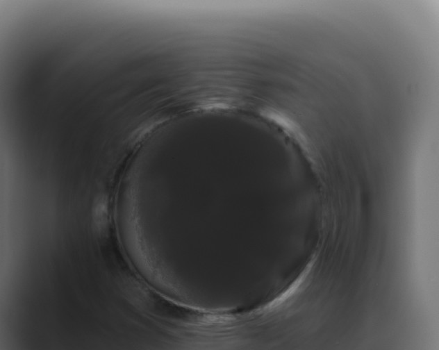 X0000089761353200706281636