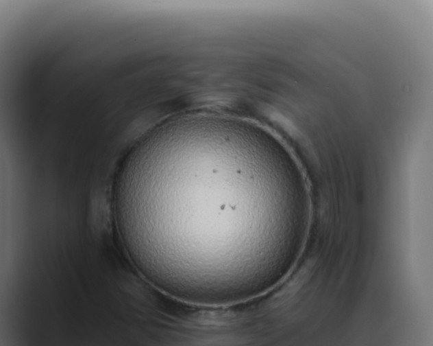 X0000089761354200706281636