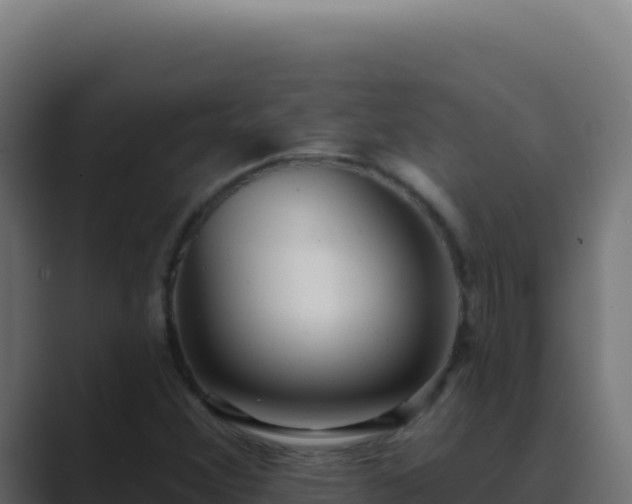 X0000089761356200706281636