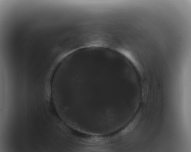 X0000089761358200706281636