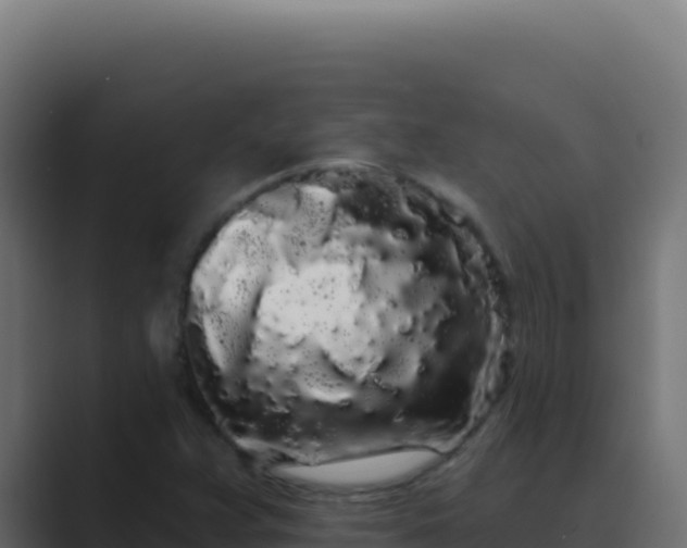 X0000089761359200706281636