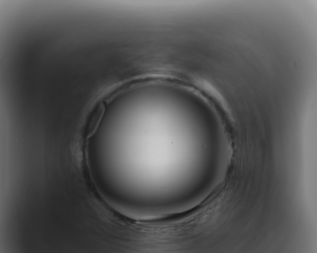 X0000089761360200706281636