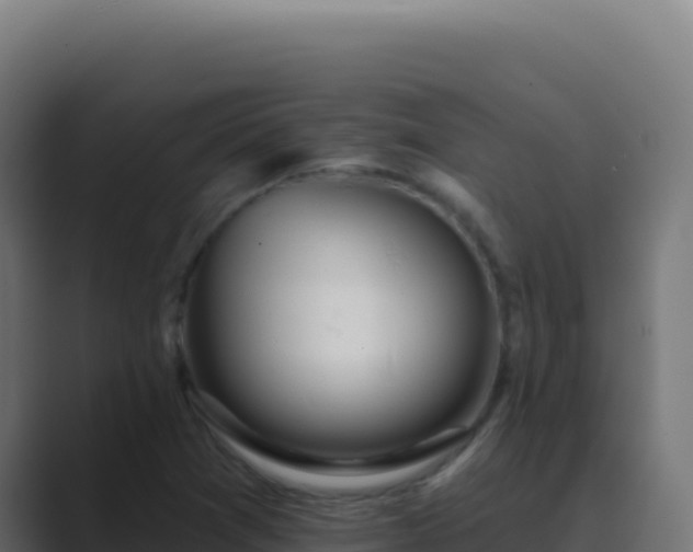 X0000089761361200706281636