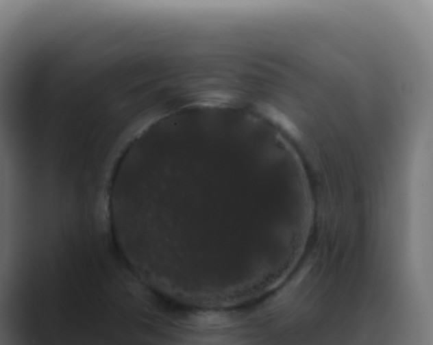X0000089761362200706281636