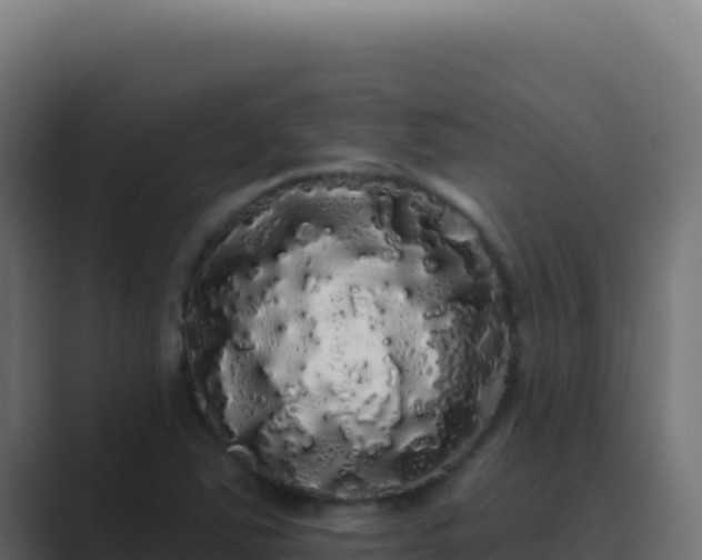 X0000089761363200706281636