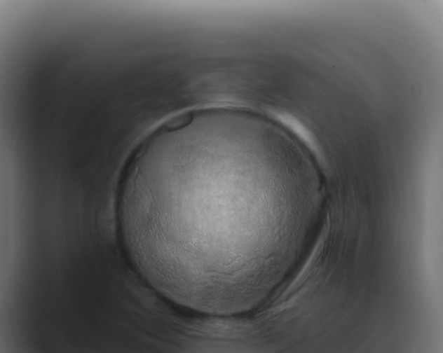 X0000089761364200706281636
