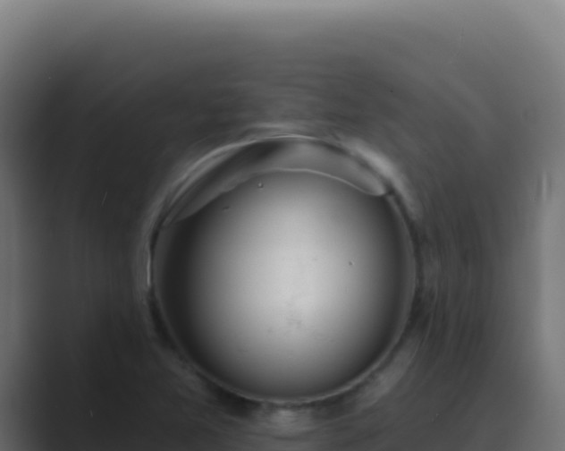 X0000089761365200706281636
