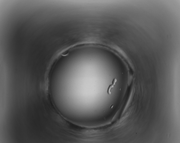 X0000089761366200706281636