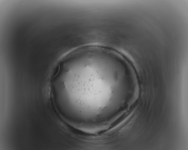 X0000089761367200706281636