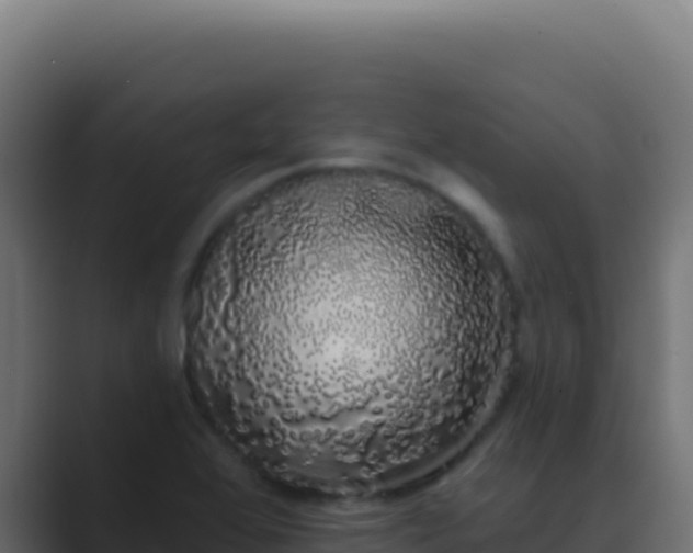 X0000089761368200706281636