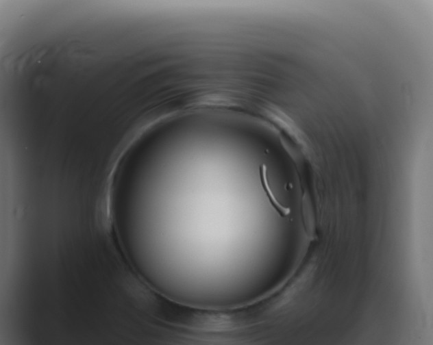 X0000089761370200706281636