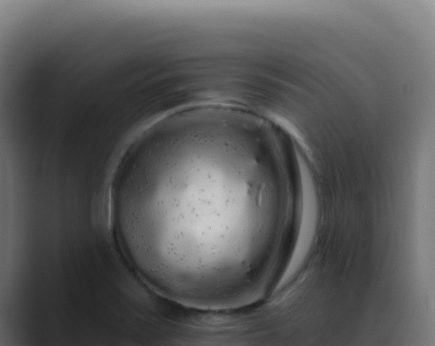 X0000089761371200706281636